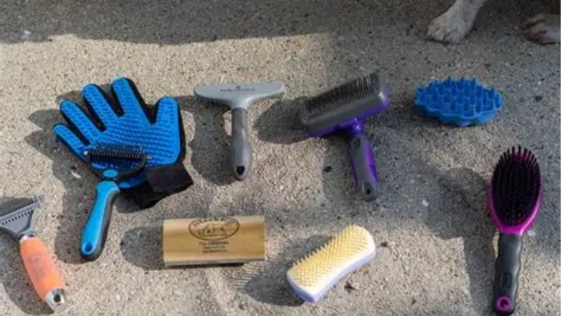 Best Brush for Moulting Dog: 4 Picks for Heavy Shedders