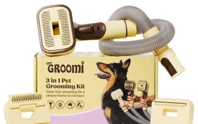 Best Dog Brushes for Specific Breeds: Golden Retrievers, Labs, Huskies & More 2026