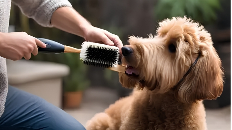 Best Dog Brush for Labrador: What You Face