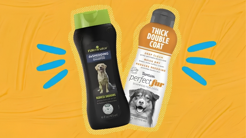 Best Dog Deshedding Shampoo: What It Can Really Do