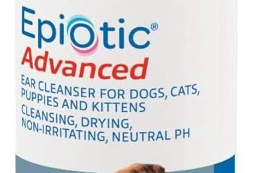 Best Dog Ear Cleaner: Top Picks Reviewed (2026)
