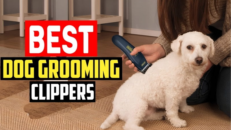 Best Dog Groomer Clippers: 6 Salon-Grade Picks Compared