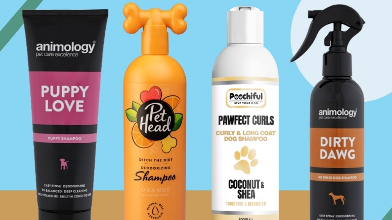 Best Dog Shampoo Smell: 6 Fresh Picks Groomers Truly Love
