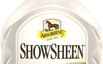 Best Dog Show Grooming Sprays & Coat Finishing Products (2026)
