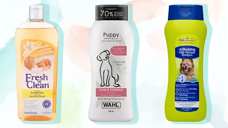 Best Scented Dog Shampoo: 6 Top Picks by Fragrance Family