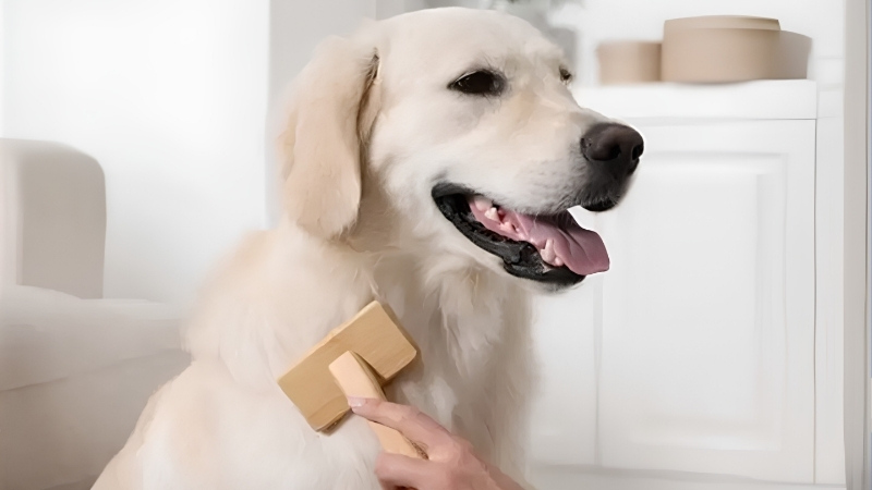 Best Short Haired Dog Brush: Wire Pins Fail