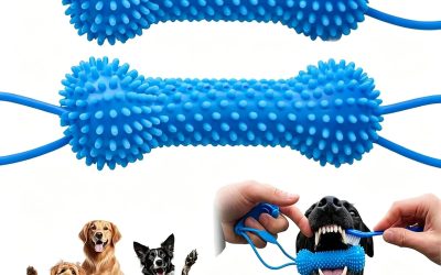 How to Brush Dog Teeth Safely and Effectively: A 2026 Guide