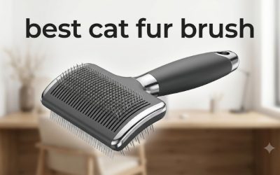 Best Cat Fur Brush Picks by Coat Length, Age and Texture