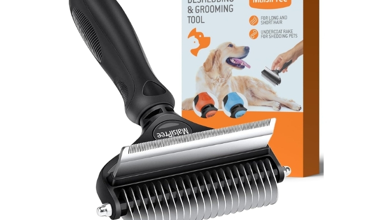 Dog Brush Best Picks: 6 Tools for Every Coat and Budget