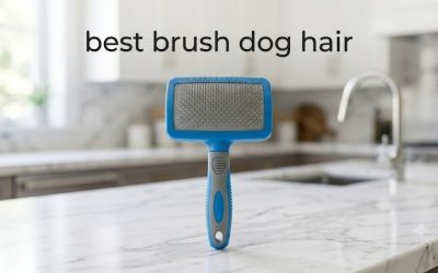 Best Brush Dog Hair Control: 6 Tools That Cut the Shedding