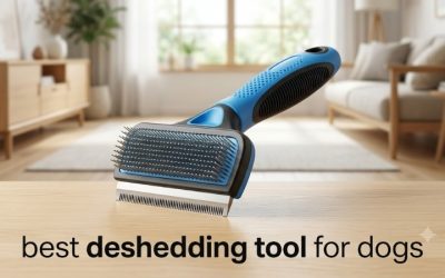 Best Deshedding Tool for Dogs: The Complete Buying Guide