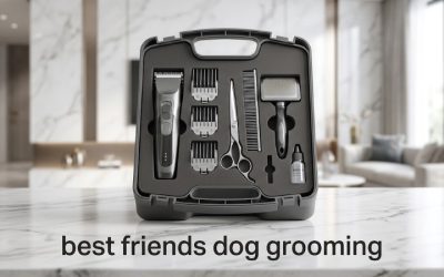Best Friends Dog Grooming: At-Home Care and Salon Guide