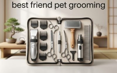 Best Friend Pet Grooming: 6 At-Home Kit Essentials Tested