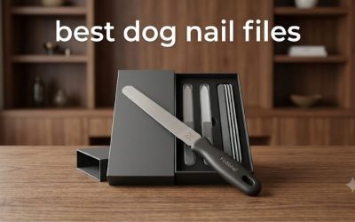 Best Dog Nail Files: 6 Grits and Sets for Every Nail Type