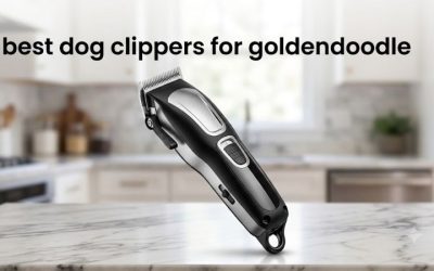 Best Dog Clippers for Goldendoodle Owners: 6 Full Home Kits