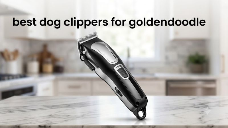 How to Build Around the Best Dog Clippers for Goldendoodle Home Grooming