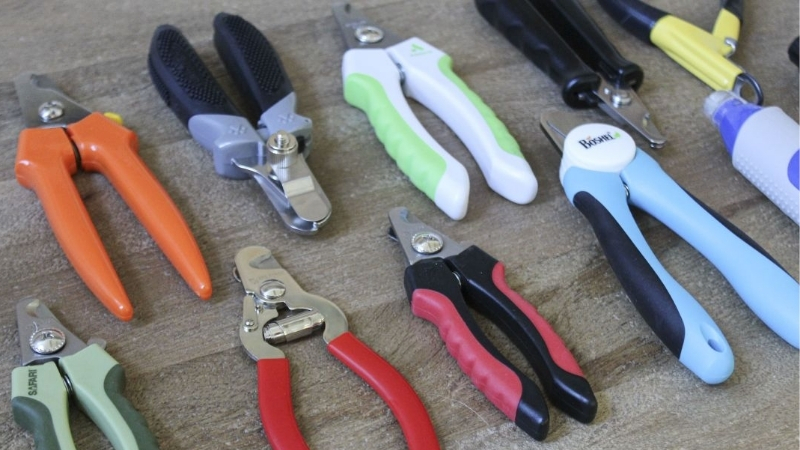 How to Choose a Dog Nail Trimmer Best Suited to a Senior Dog