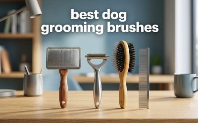 Best Dog Grooming Brushes: 6 Types and When to Use Each
