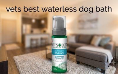 Vets Best Waterless Dog Bath Plus Five No-Rinse Options