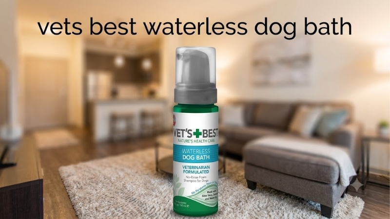 How to Choose Between Vets Best Waterless Dog Bath Formats