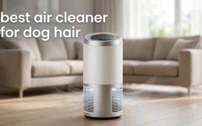 Best Air Cleaner for Dog Hair: 6 Picks for Floating Fur