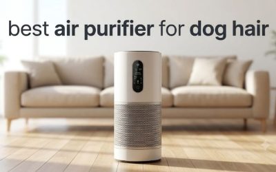 Best Air Purifier for Dog Hair: Top 6 HEPA Picks Compared