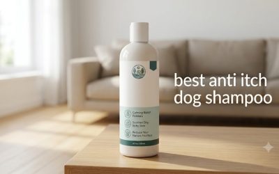 Best Anti Itch Dog Shampoo: 5 Stronger Picks for Flare-Ups