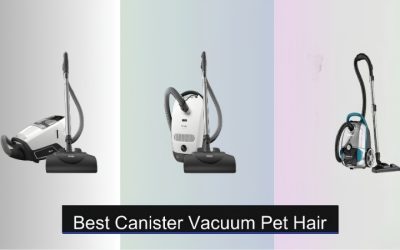 Best Automatic Vacuum for Dog Hair That Handles Tangles