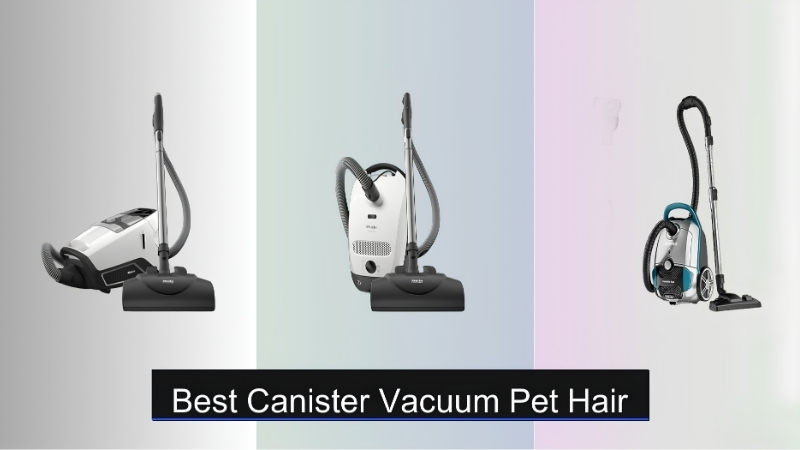 How to Choose the Best Automatic Vacuum for Dog Hair