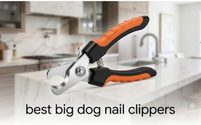 Best Big Dog Nail Clippers: 5 Picks Plus a Calm Routine