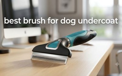 Best Brush for Dog Undercoat: 6 Rakes and Tools Compared