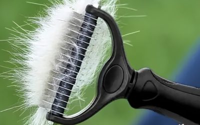 Best Brush for Moulting Dog Coats During a Full Blow-Out