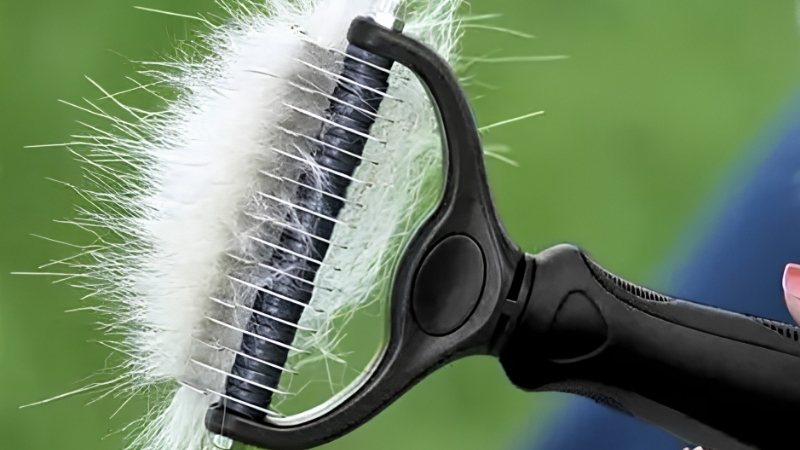 How to Choose the Best Brush for Moulting Dog Coats in Season