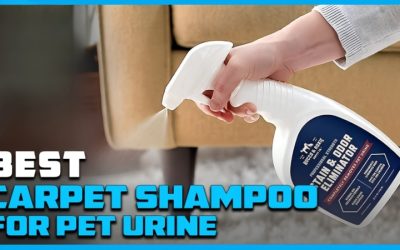 Best Carpet Shampoo for Dog Pee in Deep Cleaning Machines