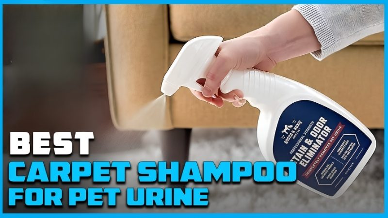 How to Choose the Best Carpet Shampoo for Dog Pee in Any Machine