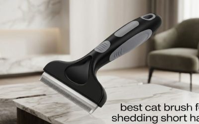 Best Cat Brush for Shedding Short Hair: 6 Gentle Top Picks