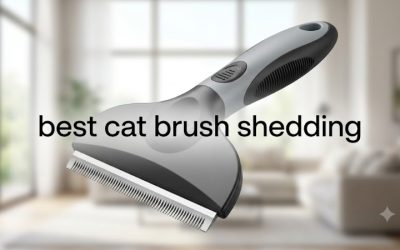 Best Cat Brush Shedding Control: 5 Picks for Every Coat