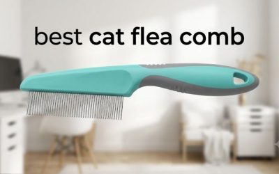 Best Cat Flea Comb: 6 Fine-Tooth Picks That Actually Work