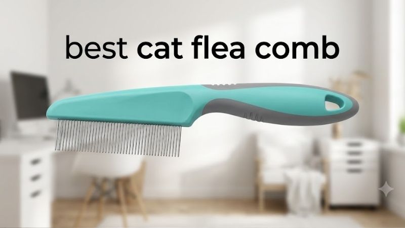 How to Choose the Best Cat Flea Comb