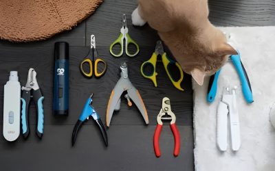 Best Cat Nail Clipper Picks for Nervous Cats and New Owners