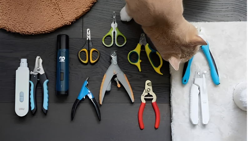 How to Choose the Best Cat Nail Clipper for Your Cat