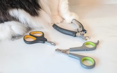 Best Cat Nail Trimmer Tools for Cats Who Fight the Trim