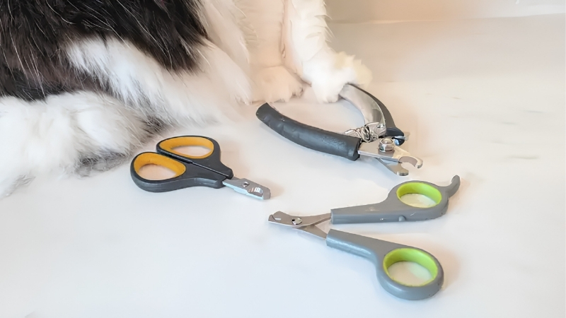 How to Choose the Best Cat Nail Trimmer Setup for a Difficult Cat