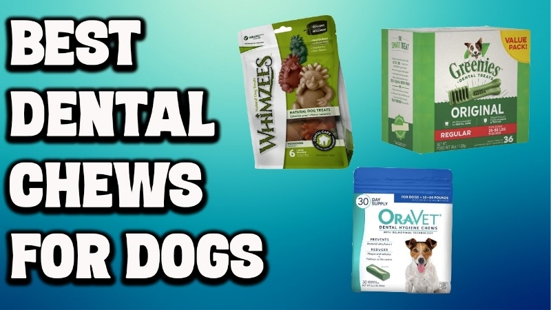 How to Choose the Best Dental Dog Chews for Your Dog
