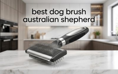 Best Dog Brush Australian Shepherd Coats Need Each Week