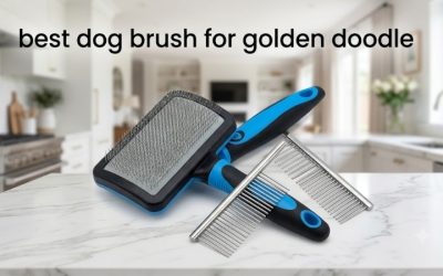 Best Dog Brush for Golden Doodle Coats: 5 Picks by Stage