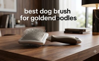 Best Dog Brush for Goldendoodles: 5 Picks for Curly Coats