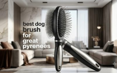 Best Dog Brush for Great Pyrenees Coats: Rakes and Combs