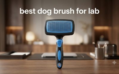 Best Dog Brush for Lab Owners: 5 Picks for Heavy Shedding