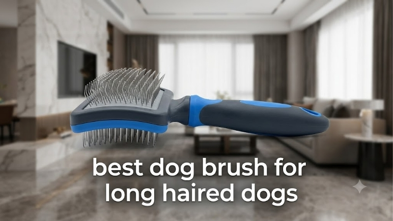 How to Choose the Best Dog Brush for Long Haired Dogs by Coat Type